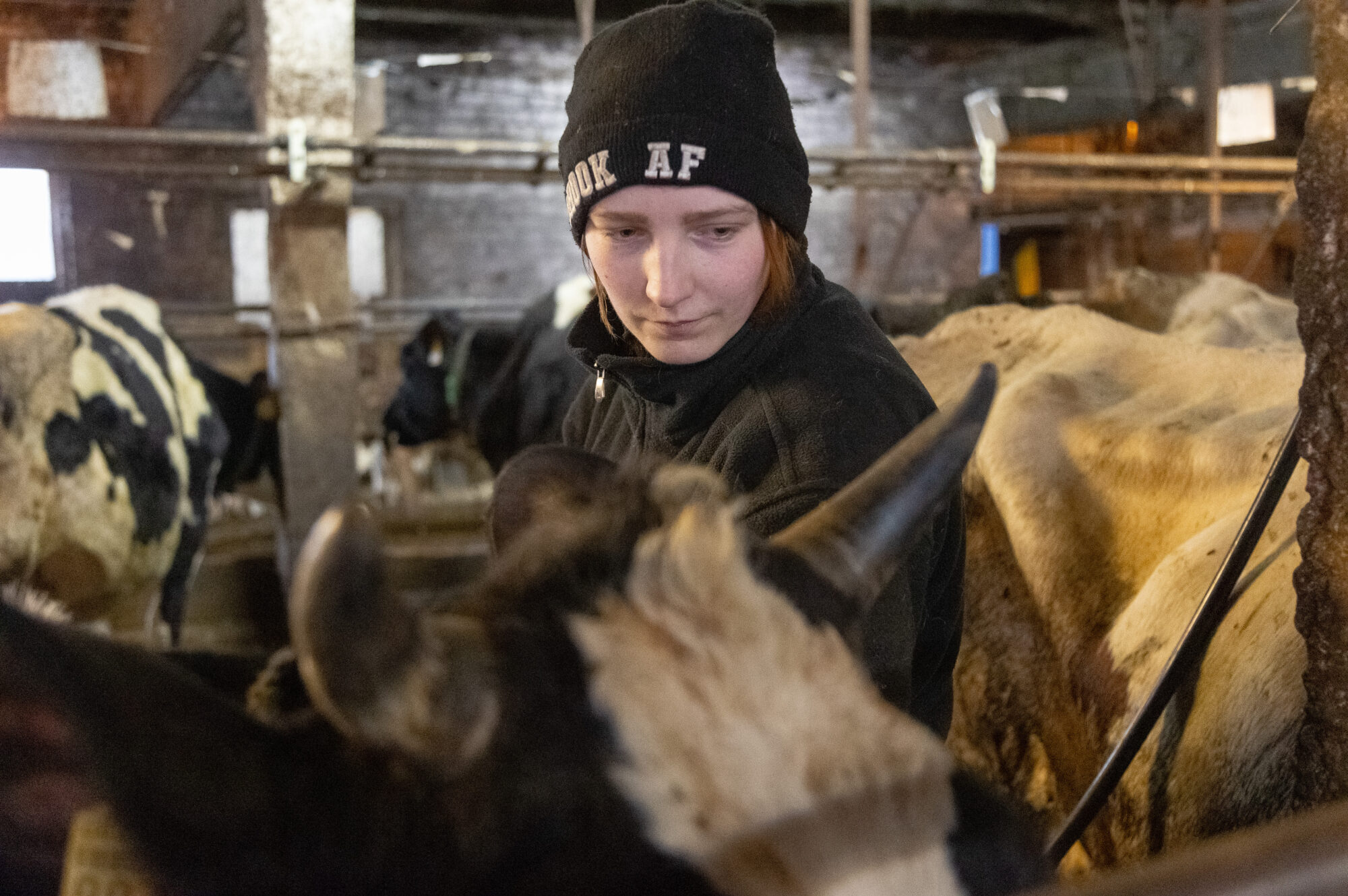 Pilsēta asociējas ar skriešanu pa galvu pa kaklu, bet laukos valda miers