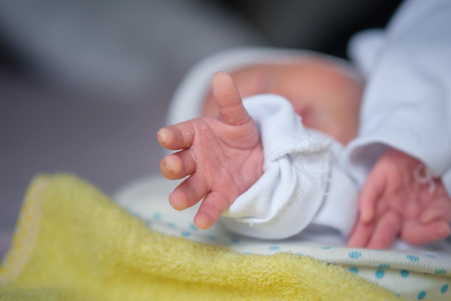 Zemgale: Sagaidīts šī gada 600. mazulis