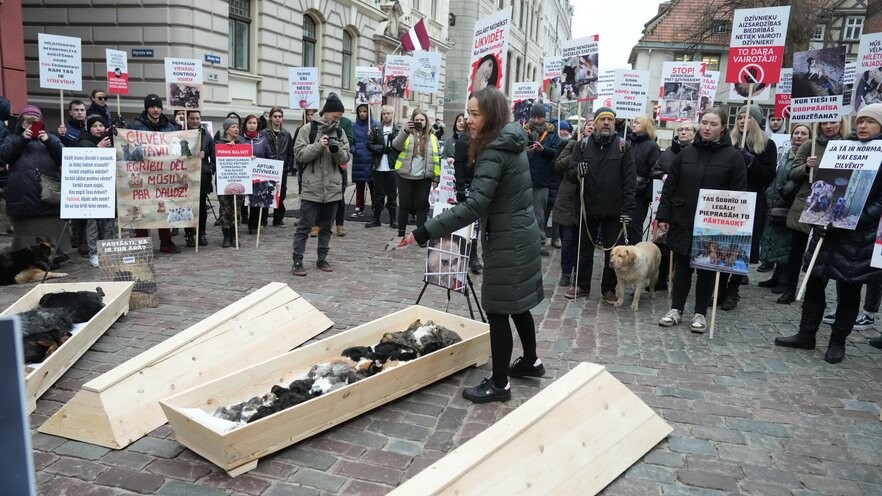Dzīvnieku aizsardzības un patversmju organizācijas nosoda “dzīvnieku līķu apgānīšanu” piketā pie Saeimas