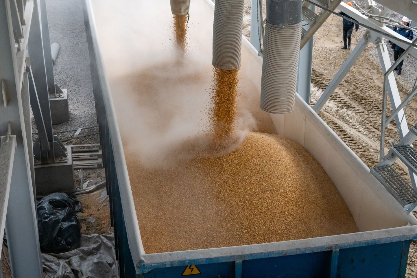 Latvijā no Krievijas pirmajā ceturksnī importēja par 40% vairāk graudaugu produktu nekā pirms gada