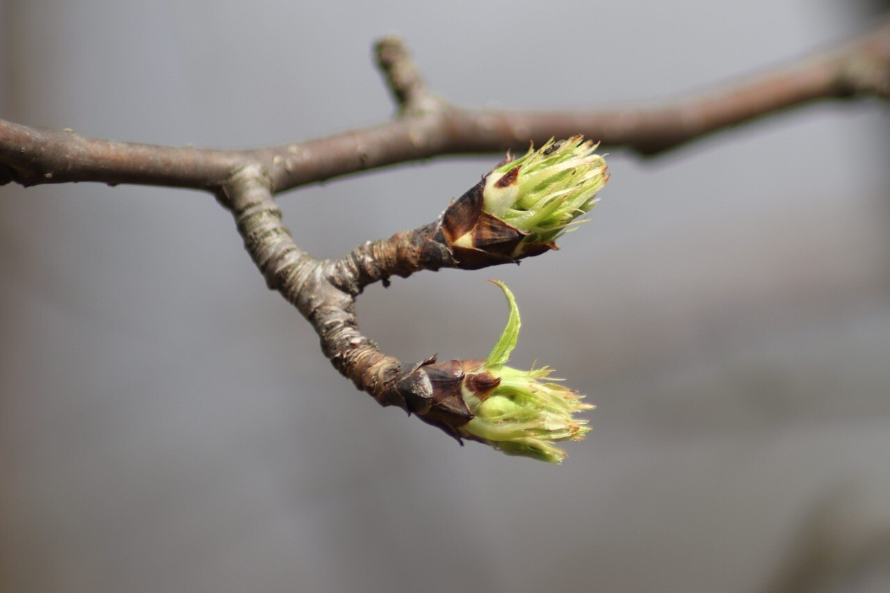 Valsts lielākajā daļā pārspēts 1. aprīļa siltuma rekords