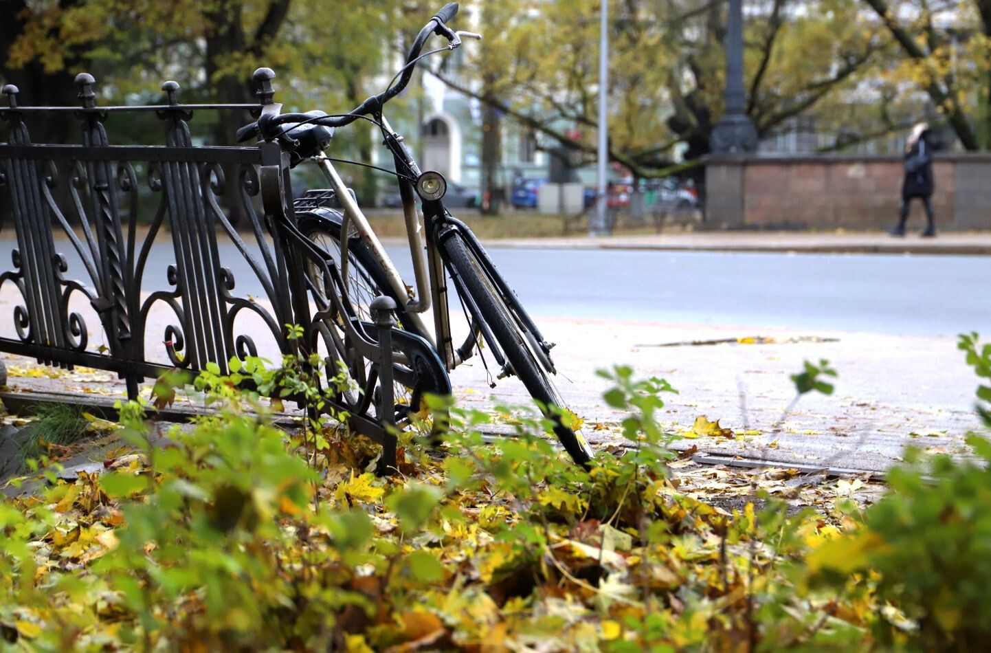 Pilngadīgajiem būs jāmaksā par velosipēda vadītāja apliecības iegūšanu