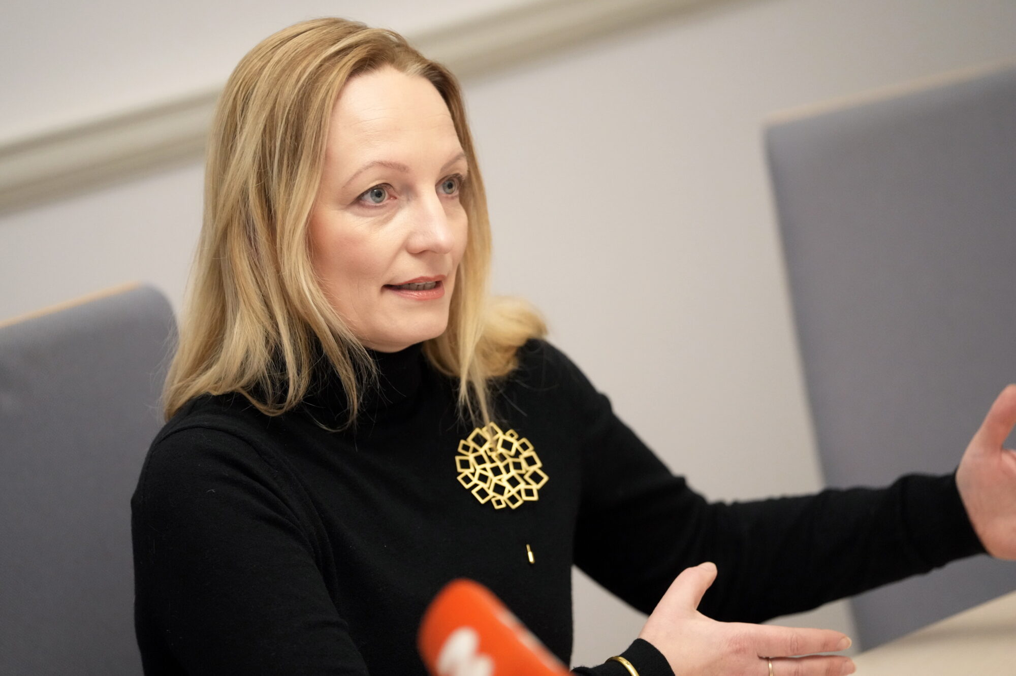Dacei Bluķei pērn bijuši vairāki ienākumu avoti