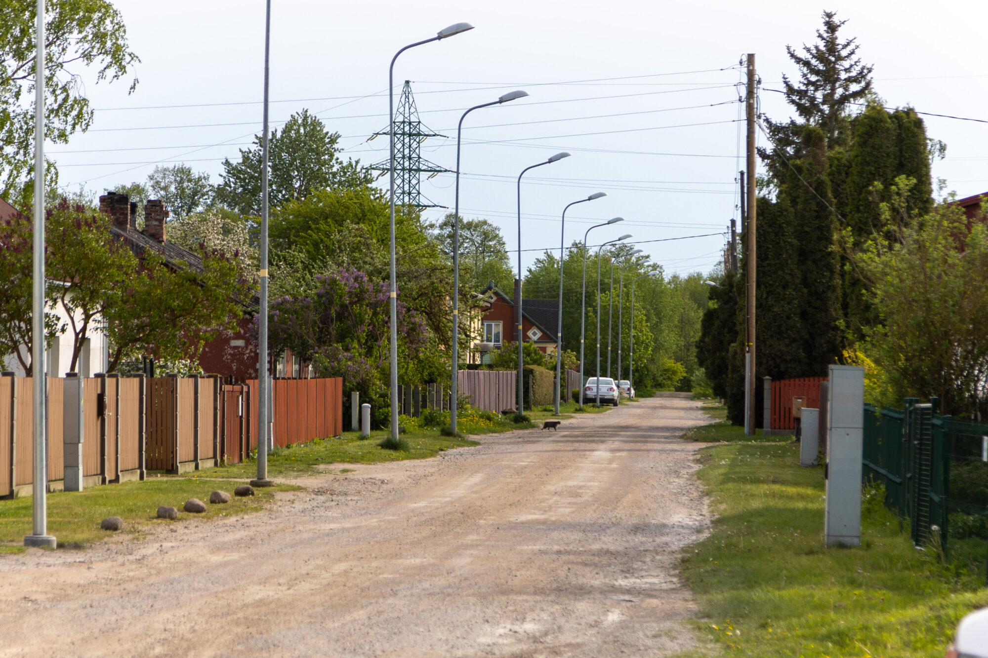 Aizņemsies naudu Ālandes un Ploču ielas asfaltēšanai