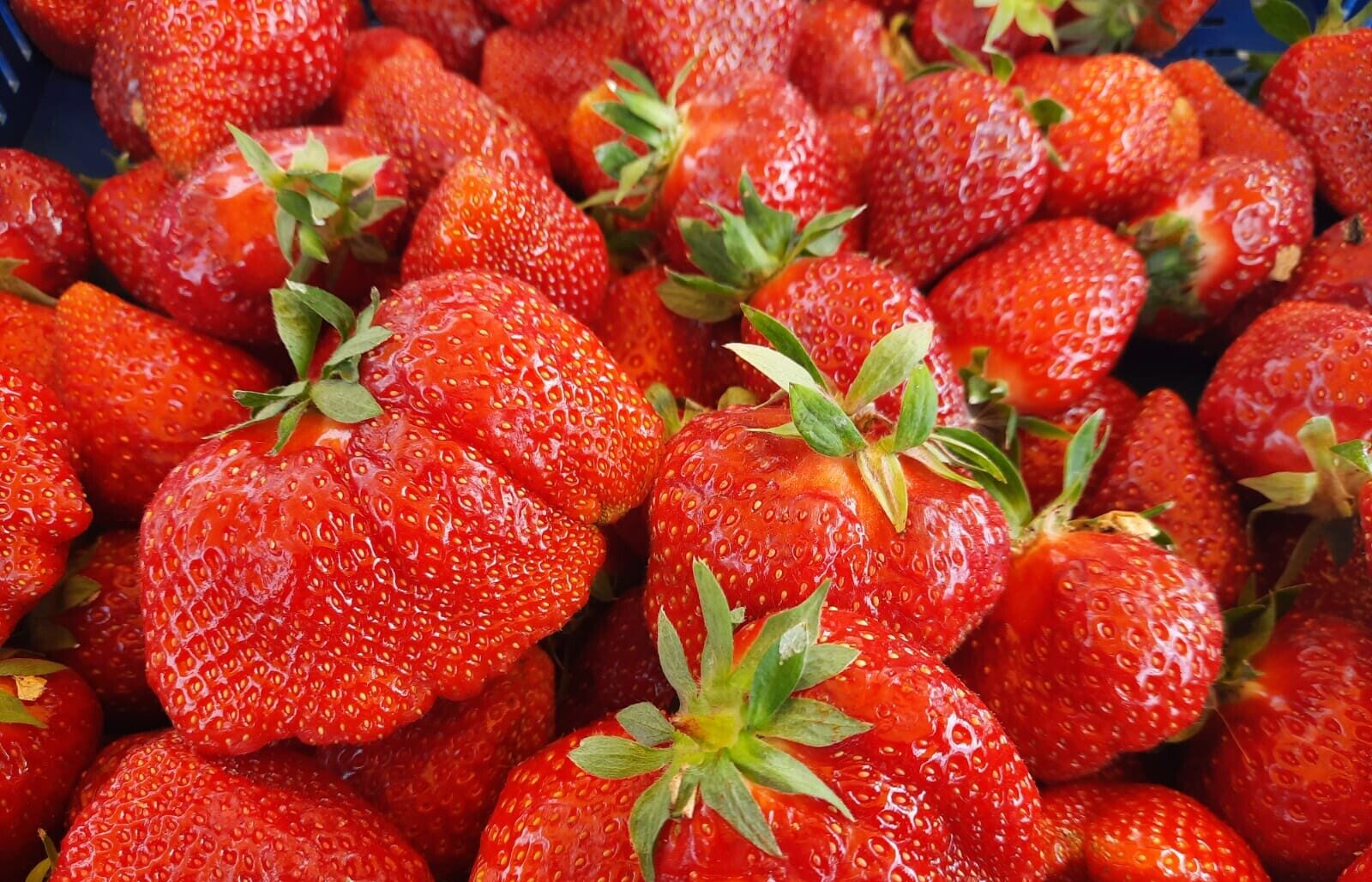 Receptes: Aromātiskā oga ar supermaigo miziņu