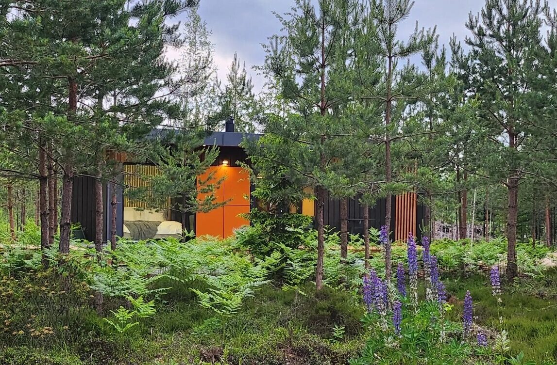 Vidzeme: Saulkrastos top atpūtas komplekss “Forrest Glamp Saulkrasti”