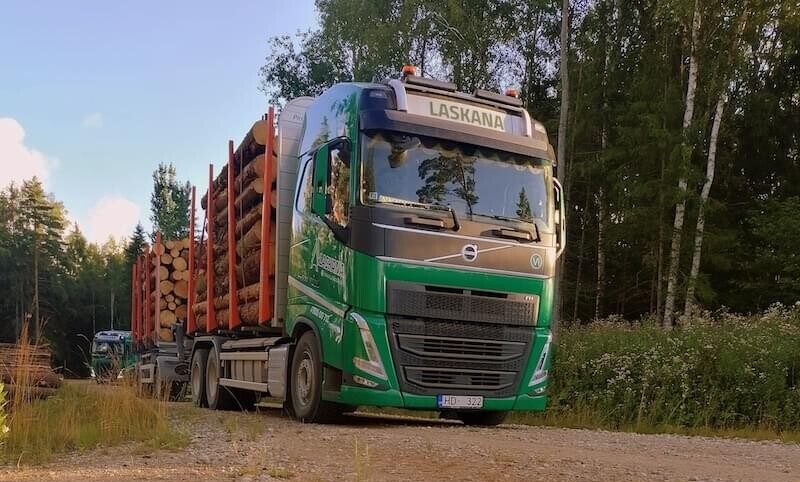 Kokmateriālu tirgotāja “Laskana” apgrozījums pērn samazinājies par 4,5%