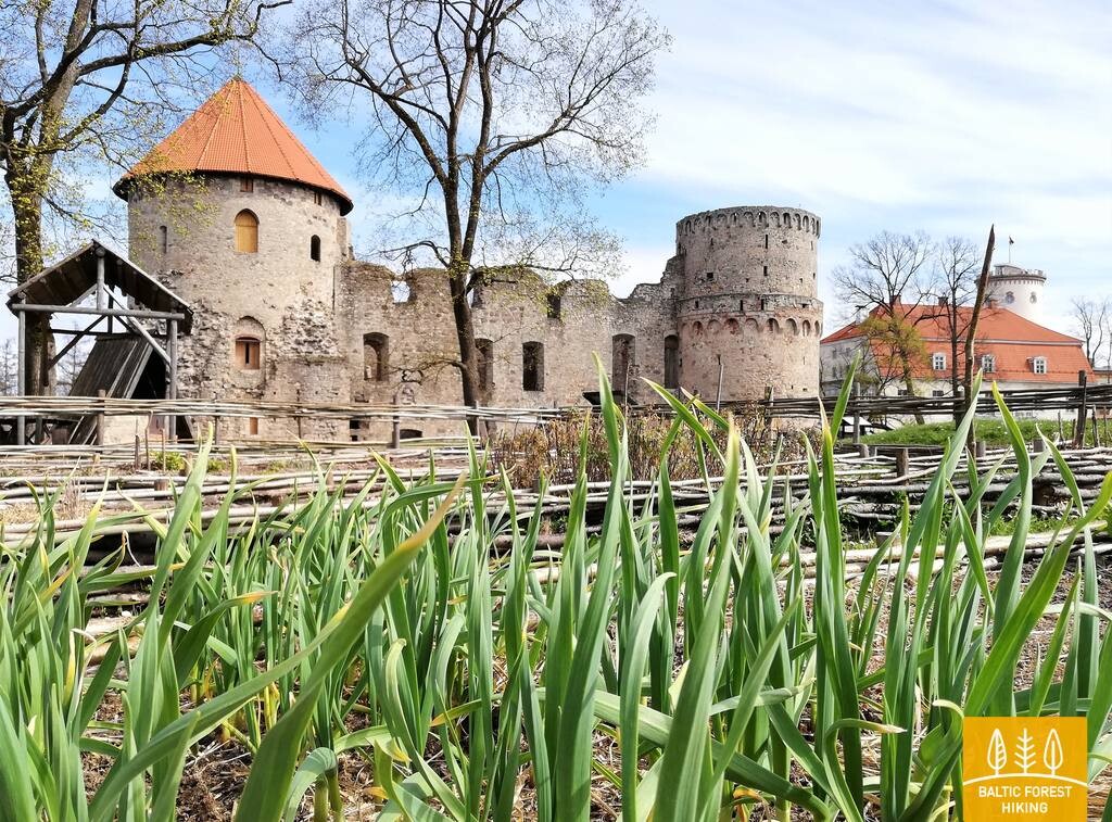 Vidzeme: Cēsīs turpmāk zālienu pļaus retāk