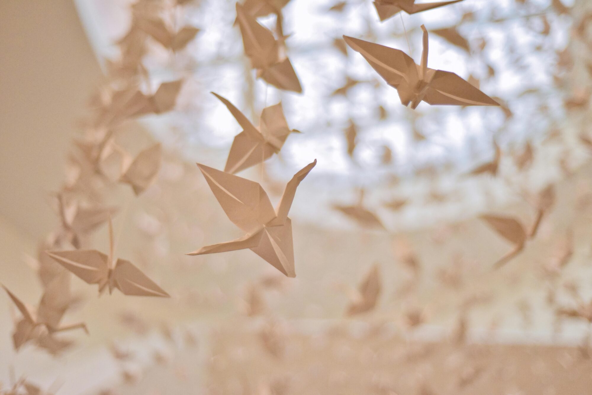 Liepājas muzejs aicina uz lekciju par Japānas mākslu un origami darbnīcu