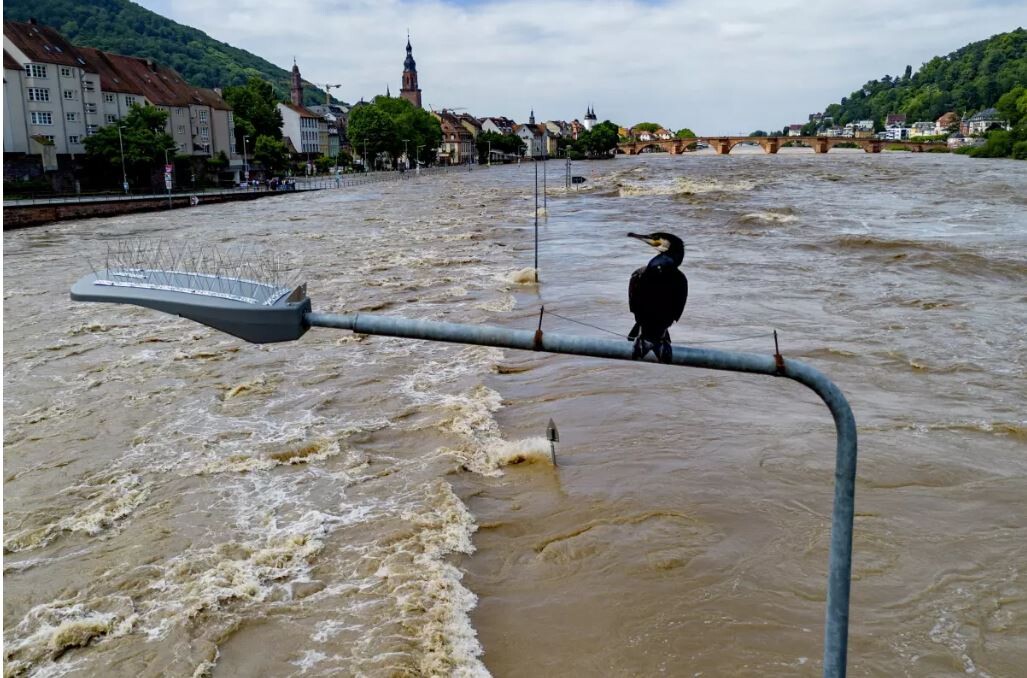 Plūdos Vācijas dienvidos bojāgājušo skaits sasniedzis četrus