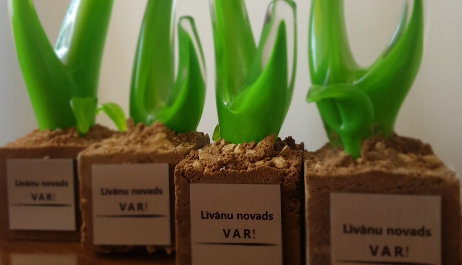Latgale: Uzņēmēji iesaistīsies konkursā “Līvānu novads VAR”