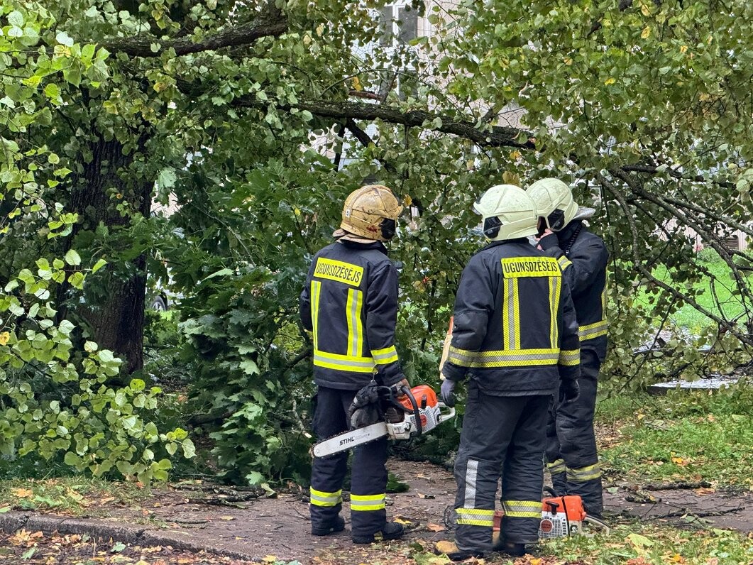 VUGD līdz šim saņēmis 45 izsaukumus par negaisa postījumiem