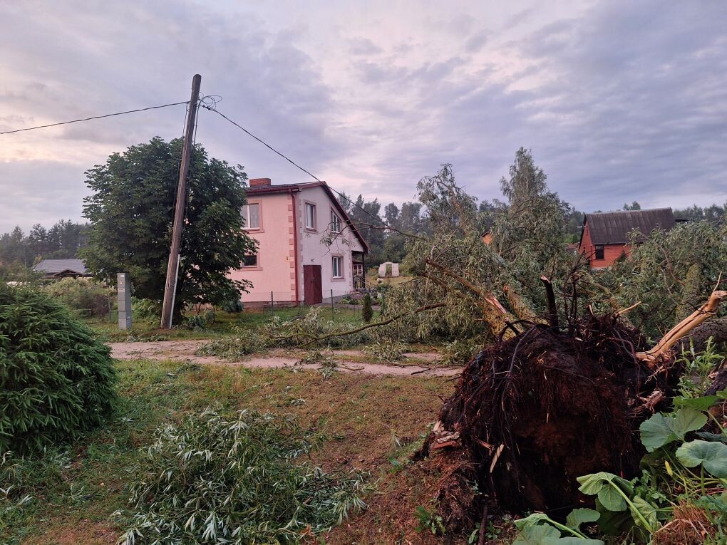 Bauskai būs nepieciešama valsts palīdzība vētras seku novēršanā