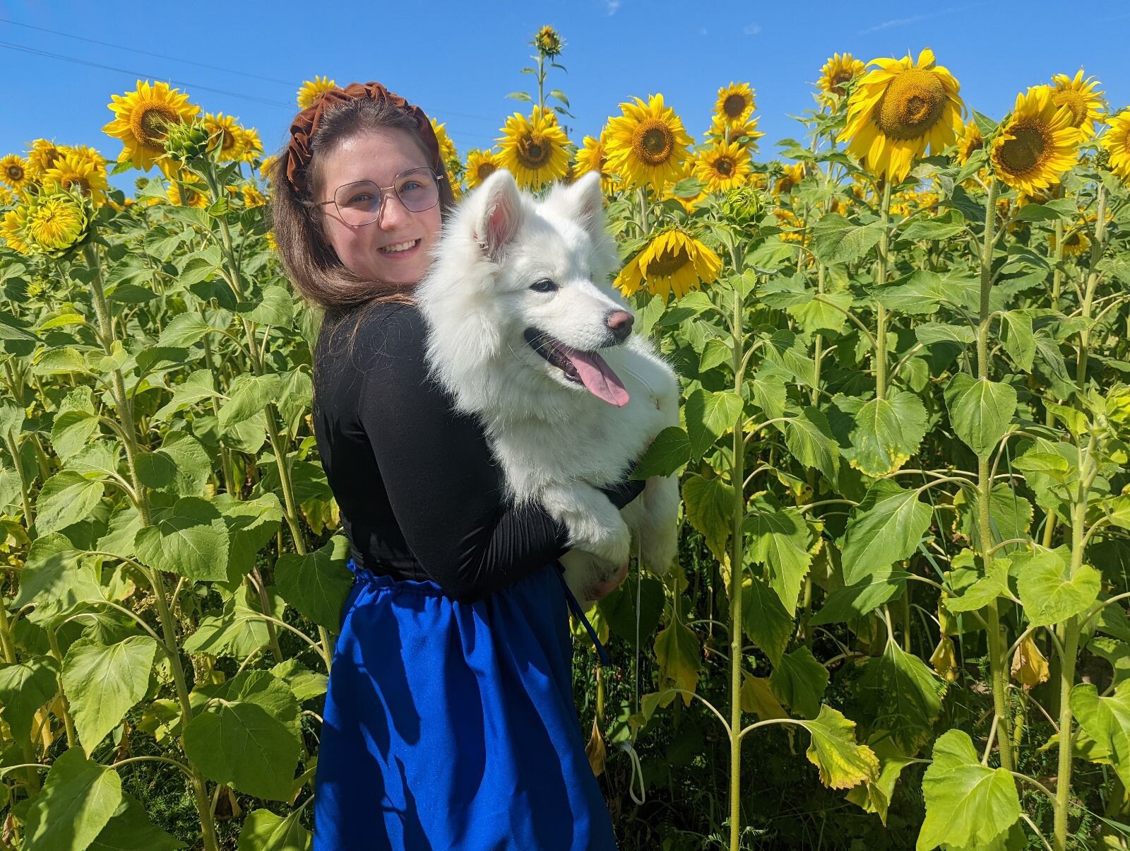 Beates Štolceres samojedu šķirnes sunītei patīk divas lietas – mašīnas un fotografēties