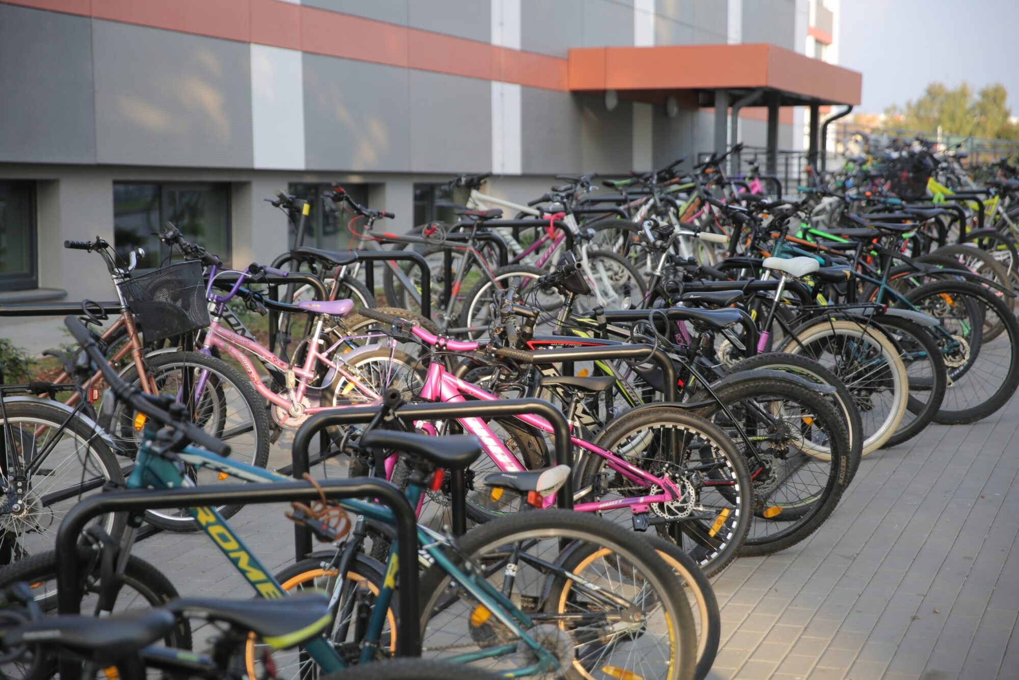 Zemgale: Aicina pieteikties uz bezmaksas veloskolas nodarbībām