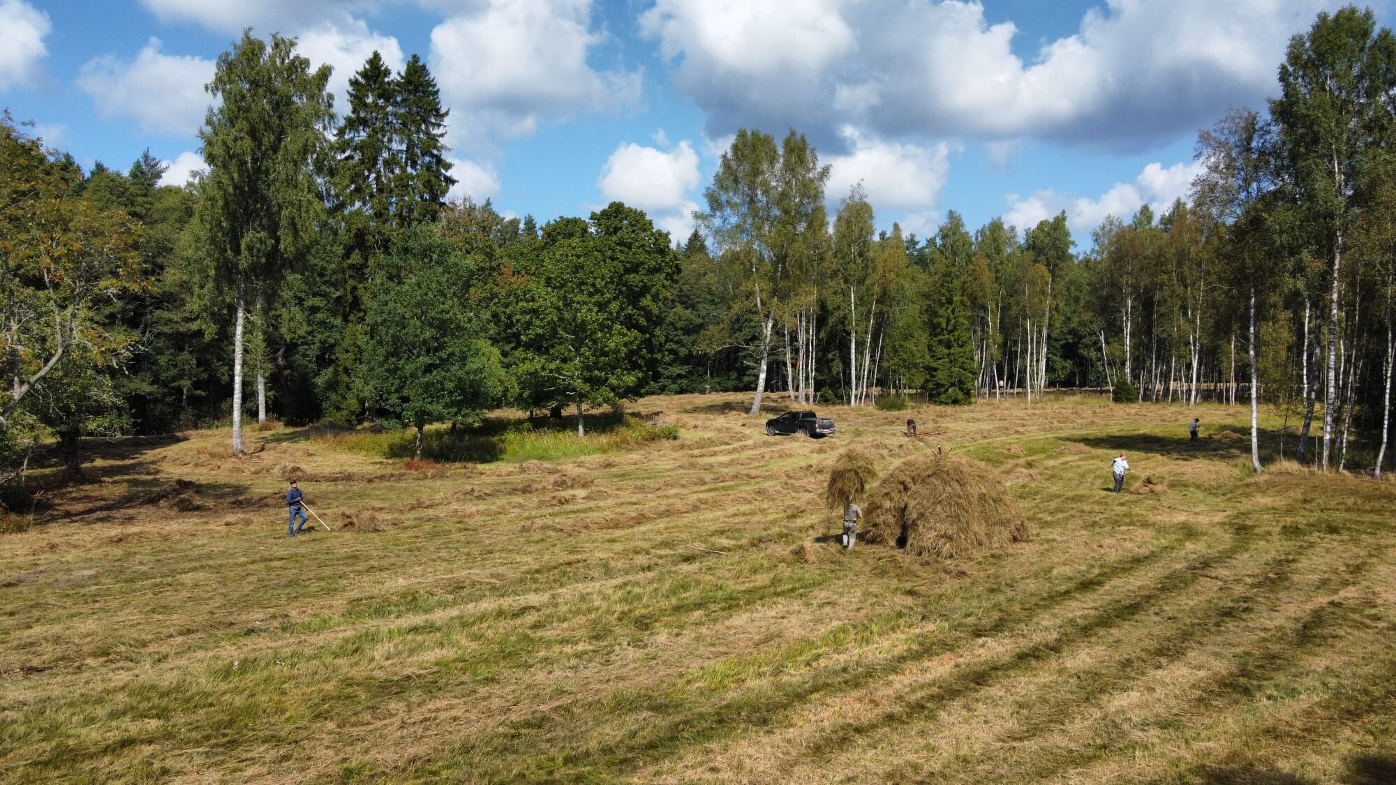 Grīņu dabas rezervātā talkas būs ikgadējas