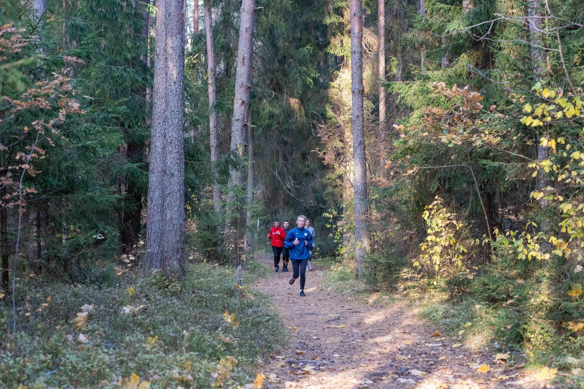 Vidzeme: Valkā sākas skriešanas seriāls “Optimists. Rudens”