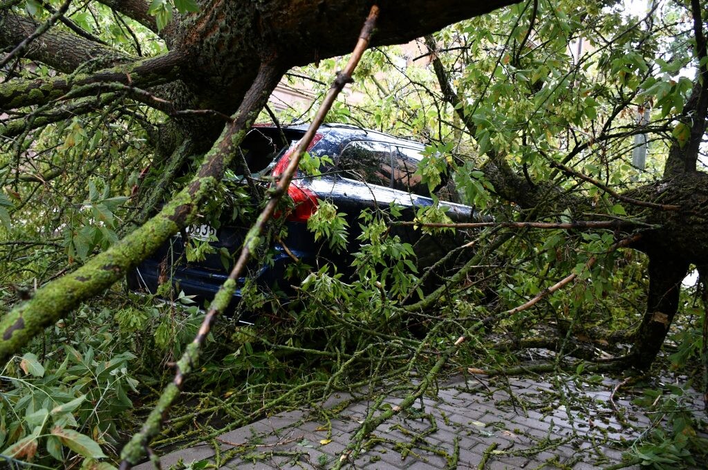 Jūlija beigās piedzīvotā vētra atzīta par stiprāko vasaras vētru Latvijas novērojumu vēsturē