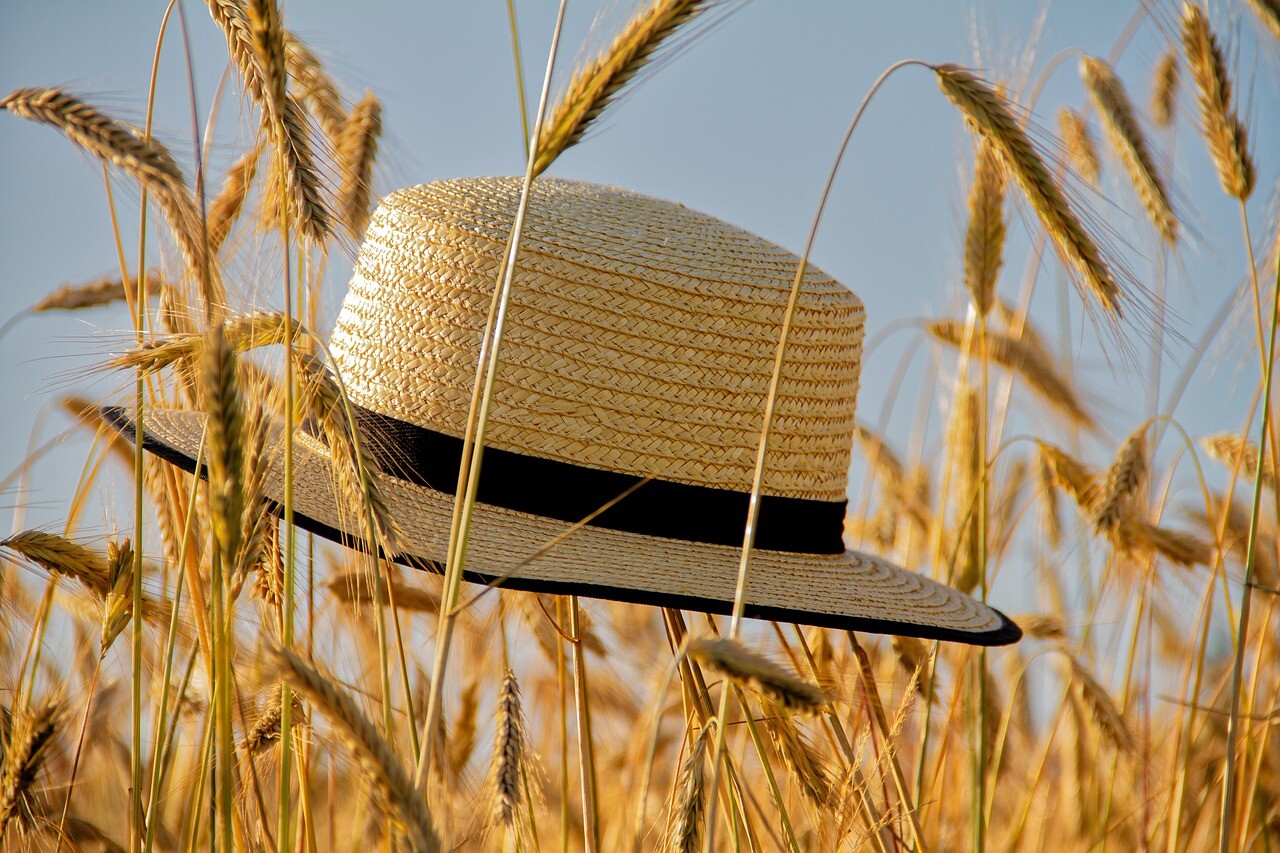 Ceturtdien būs saulains un ļoti silts laiks
