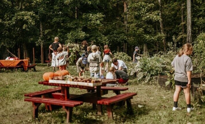 Vidzeme: Laurenču sākumskolā īstenots stādu audzēšanas pilotprojekts