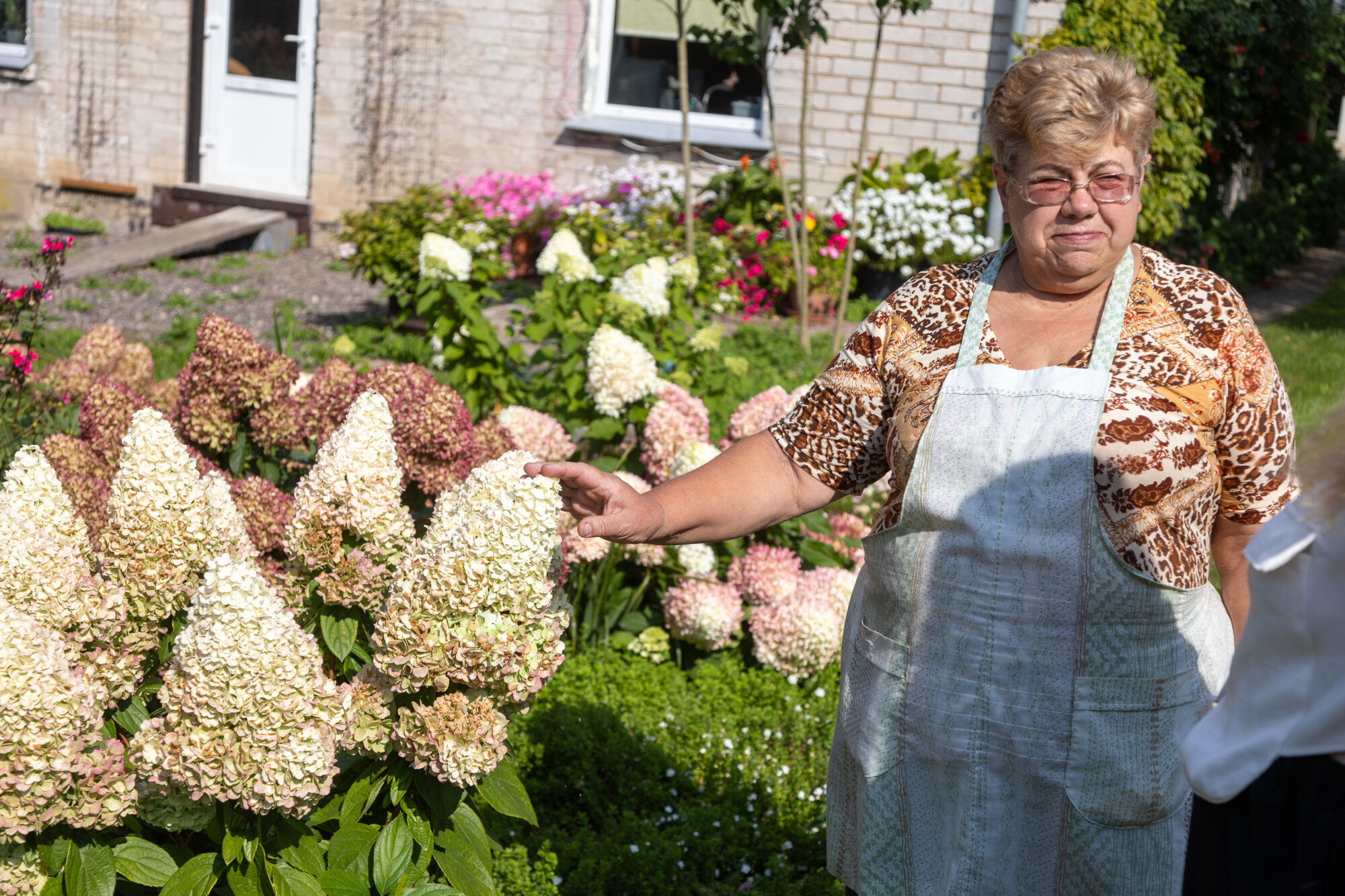 Foto: 65 šķirņu hortenzijas vienā dārzā