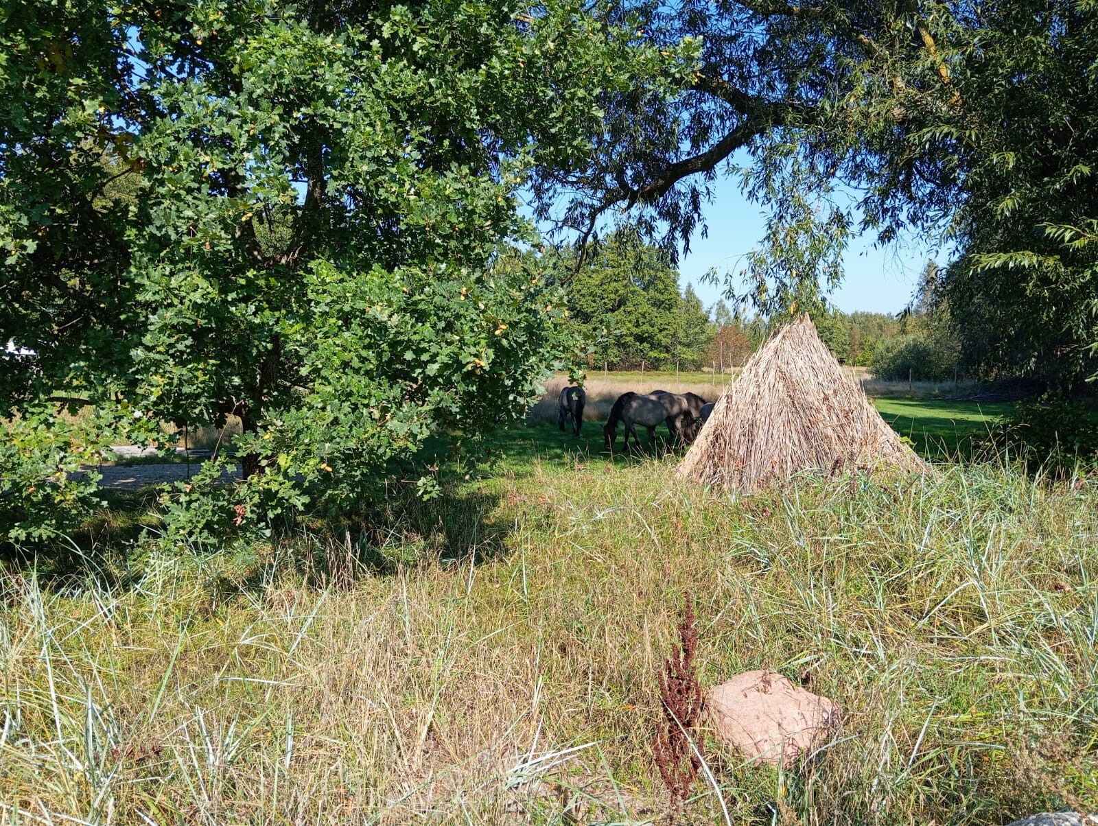 Latvijas Dabas fonds aicina uz ainavu tūri Sventājas upes ielejā