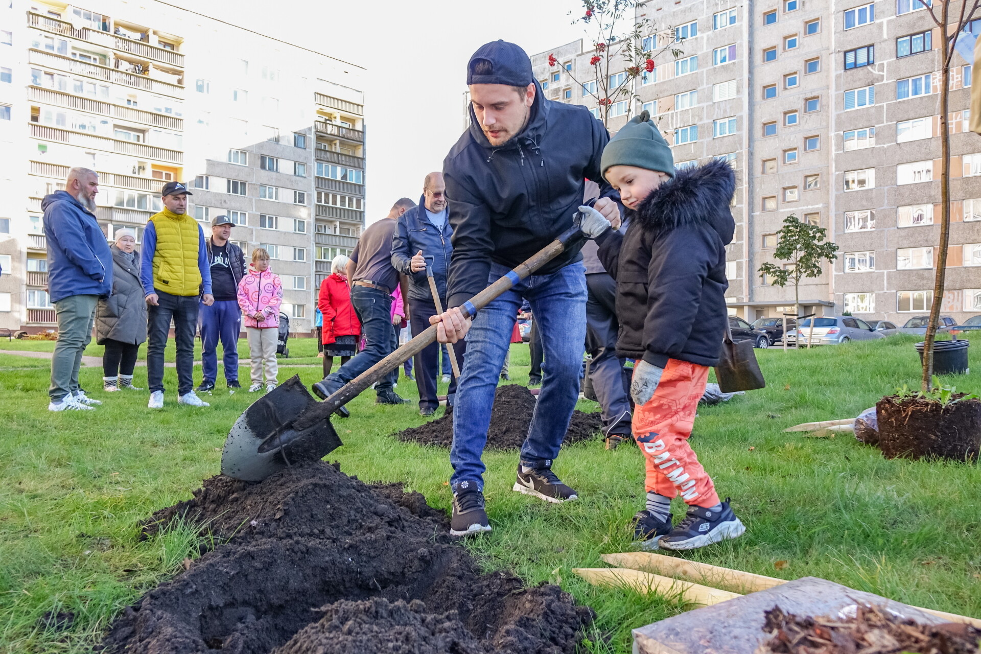 Kurzeme: Ventspils labiekārtotajos pagalmos iestāda kokus