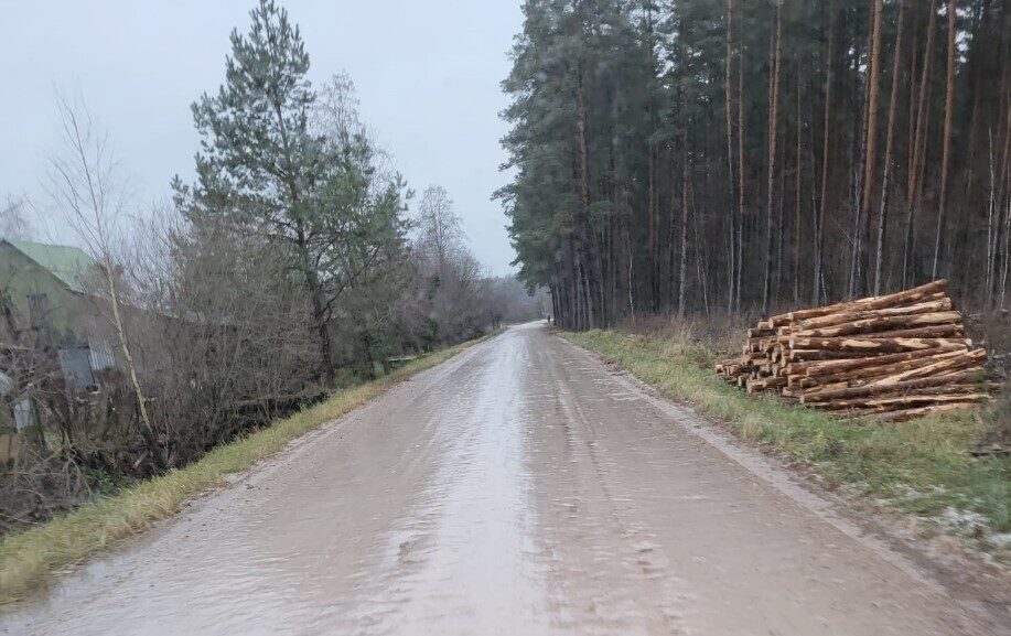 Zemgale: Atkala traucēja izpildīt reisus