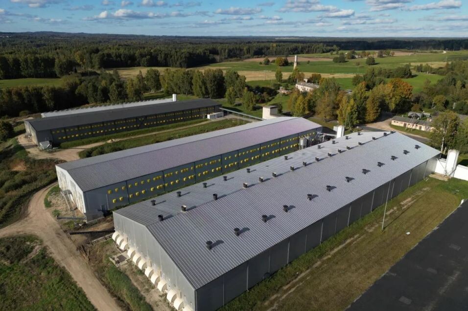 Vidzeme: Alūksnes putnu fermā nodod ekspluatācijā jaunu kompleksu