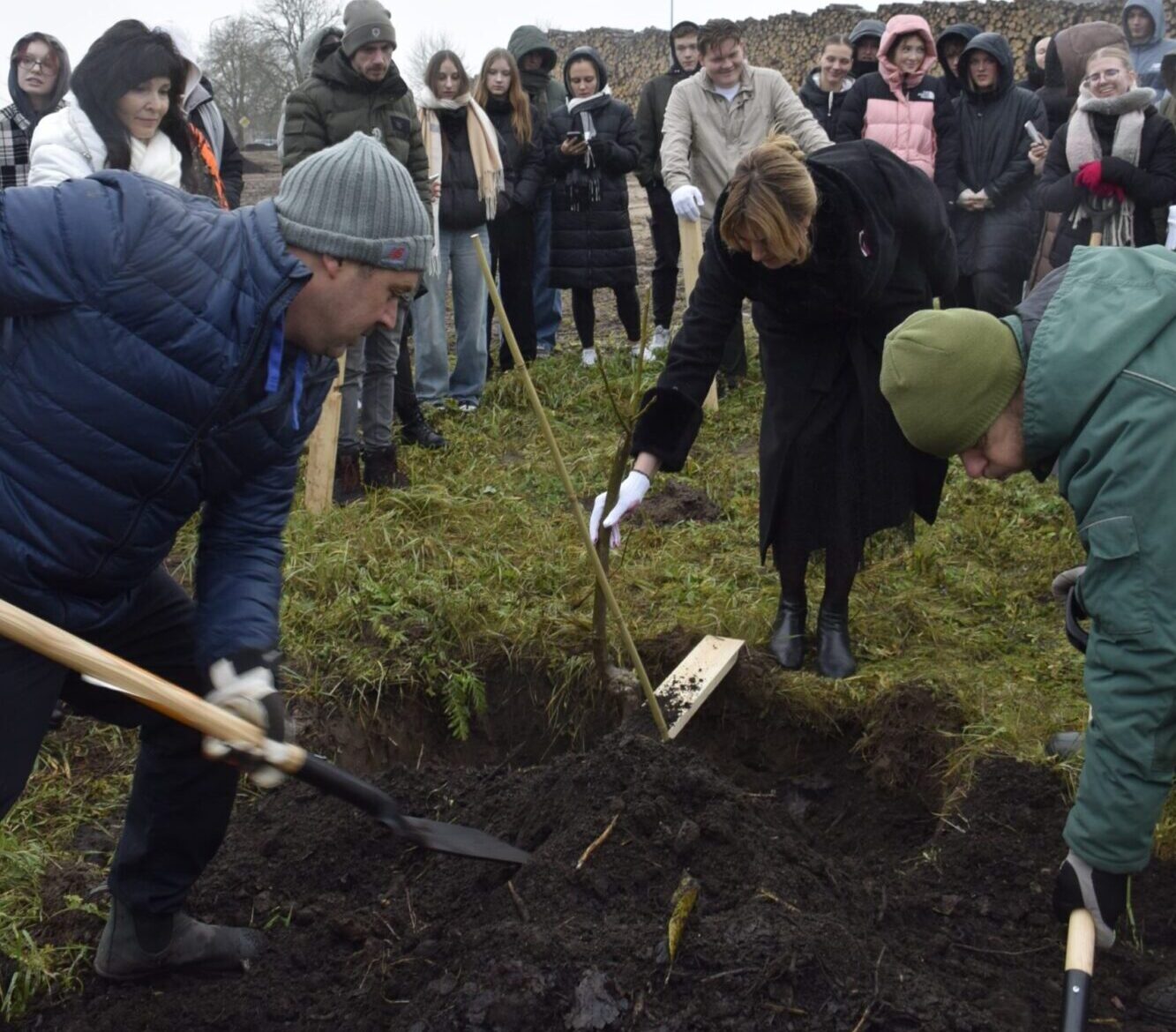 Kurzeme: Kuldīgā iestāda valriekstu dārzu