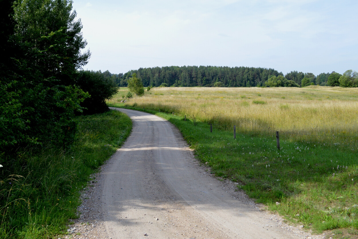 Par 2025. gada dzīvotni izvēlēta mala – pārejas zona starp dažādām ekosistēmām