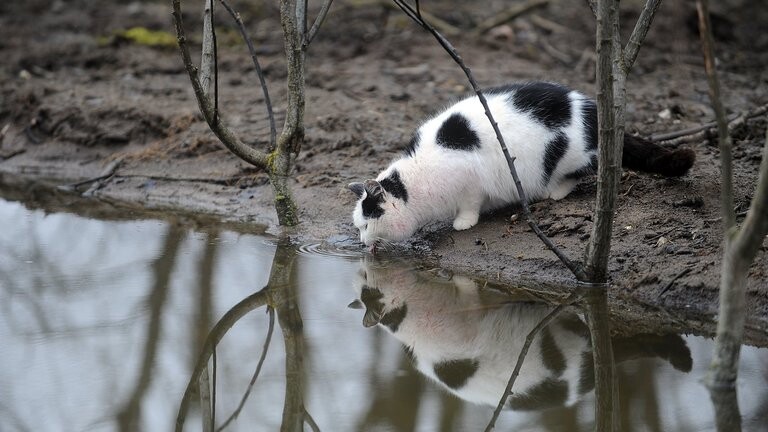 Deviņās novērojumu stacijās labots 27. janvāra temperatūras rekords