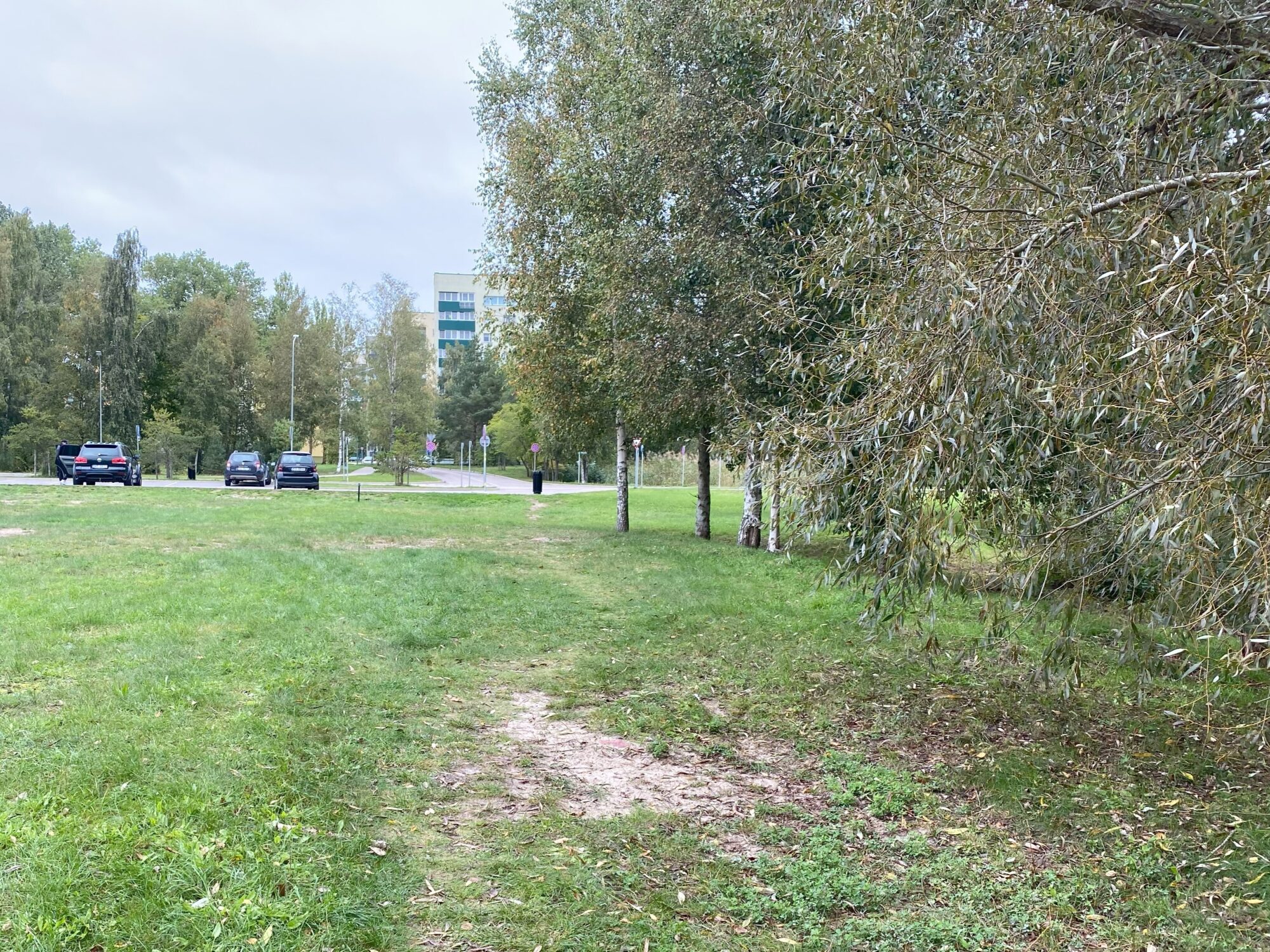 Aicina apspriest plānoto koku ciršanu topošajā Debess ielā