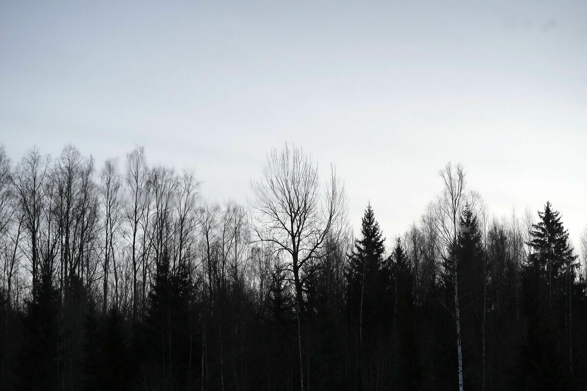 Pasliktinājusies gaisa kvalitāte
