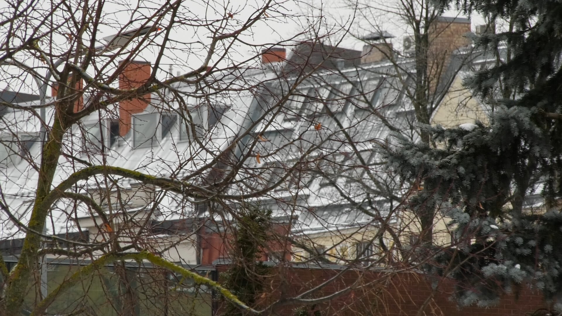 Zemgale: Miljons eiro par papīra paziņojumiem