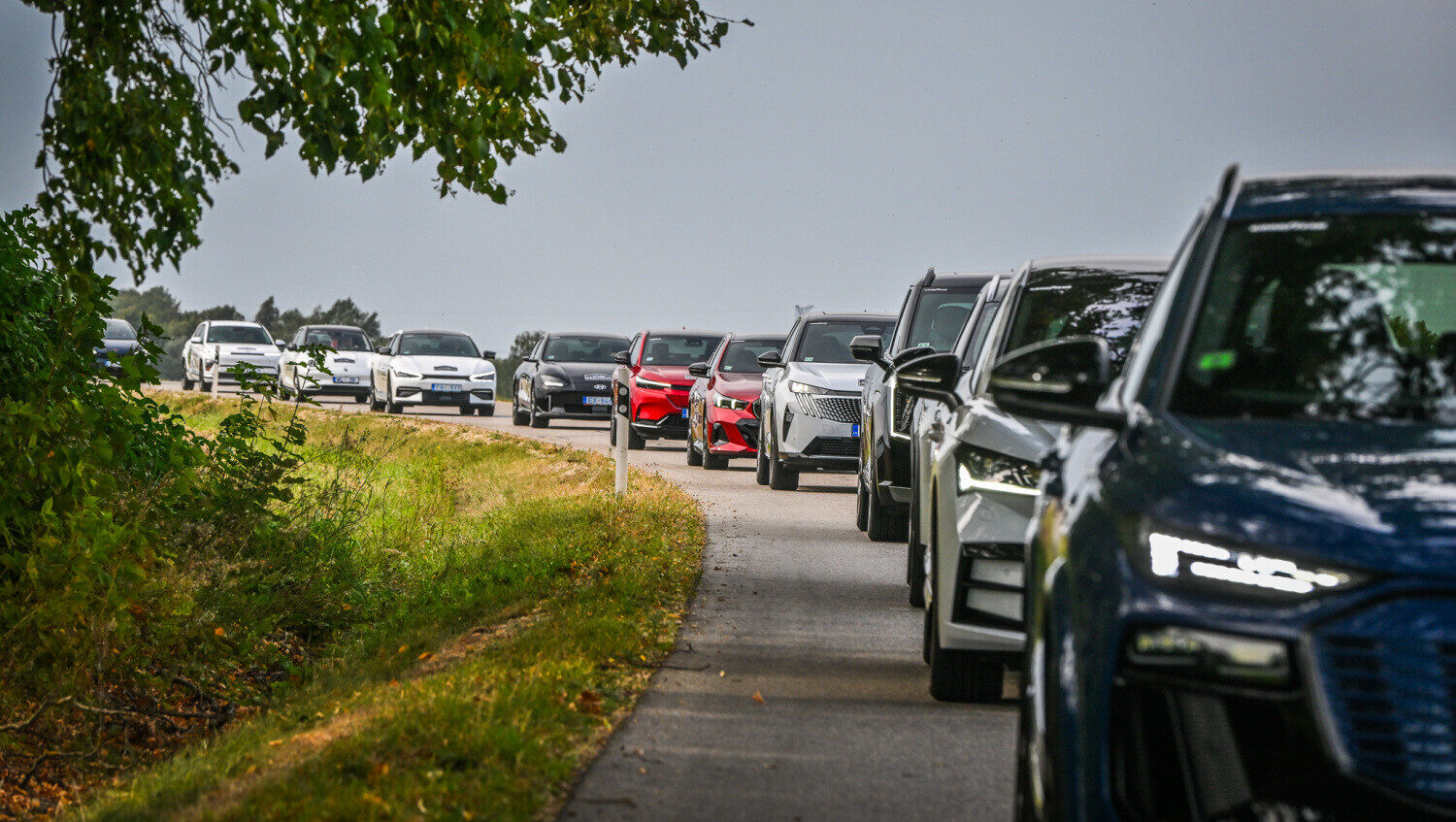 Elektroauto kā suns, dīzeļa un benzīna auto – kā kaķis