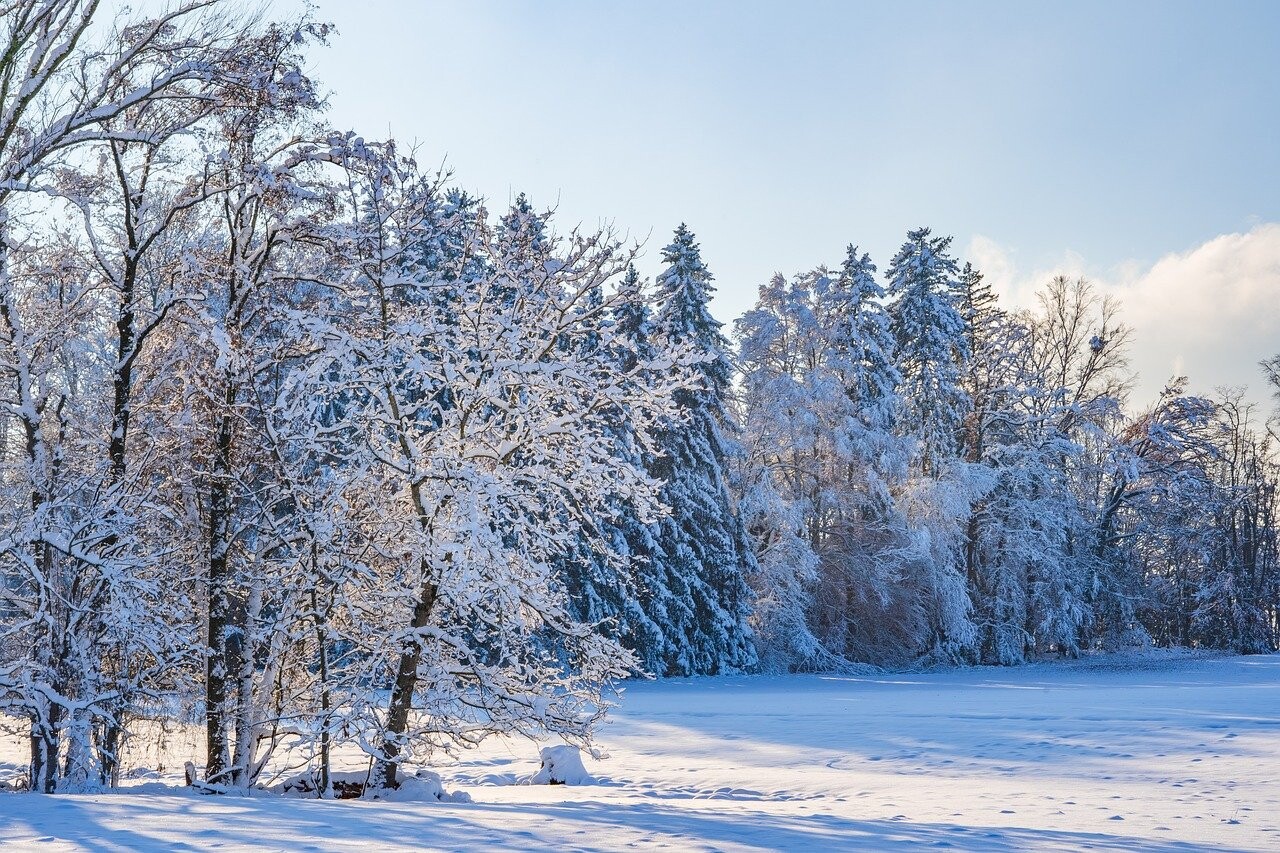 Šonedēļ un nākamnedēļ gaidāms ziemas aukstākais periods