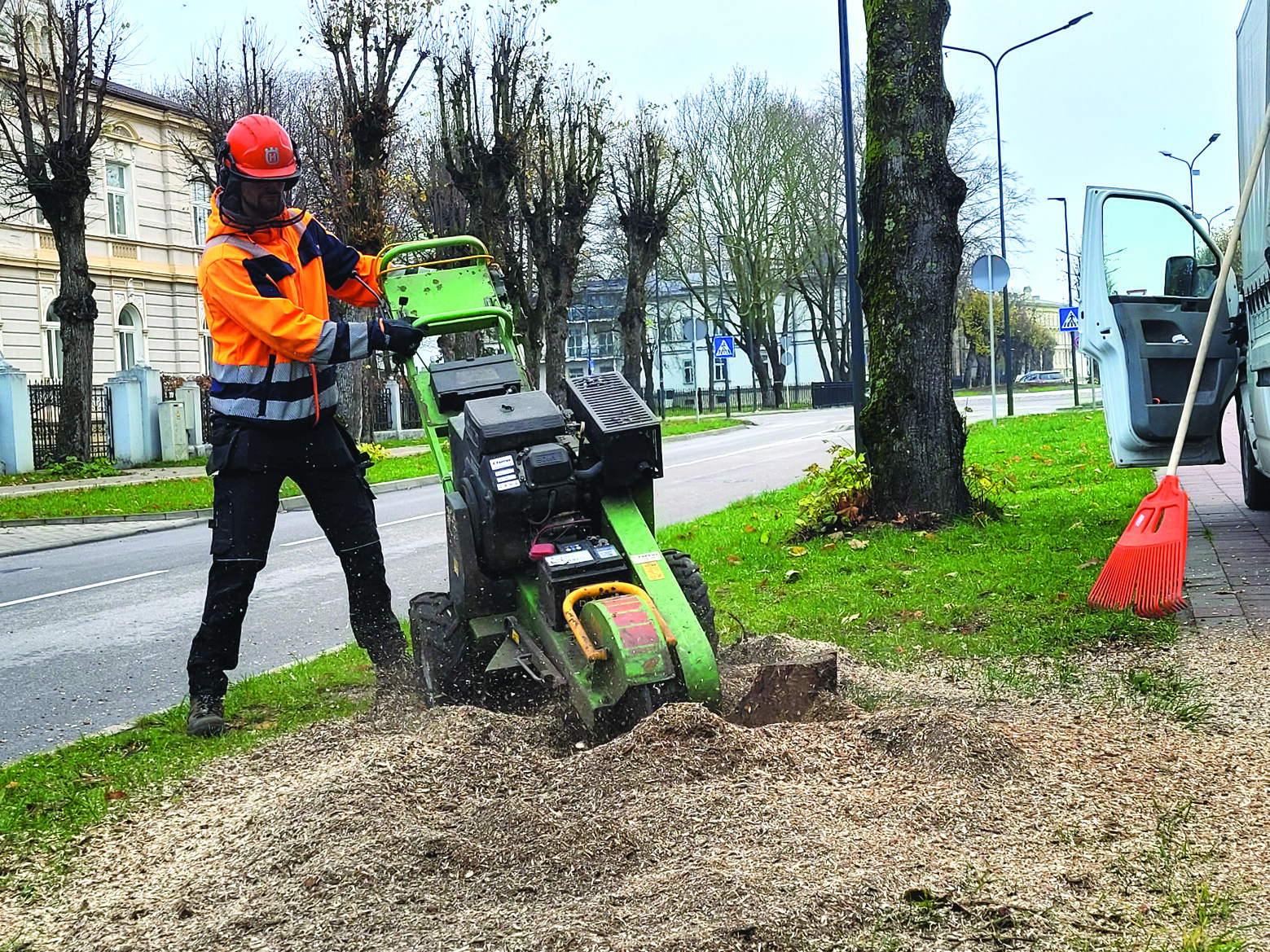 Koku apsaimniekošana pilsētā: izmantojam zināšanas, plānojam laiku, piešķiram naudu
