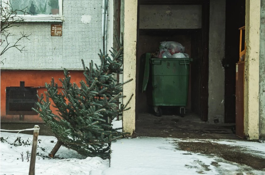 “Eco Baltia vide” pārstrādei nodotas vairāk nekā 12 000 svētku eglīšu