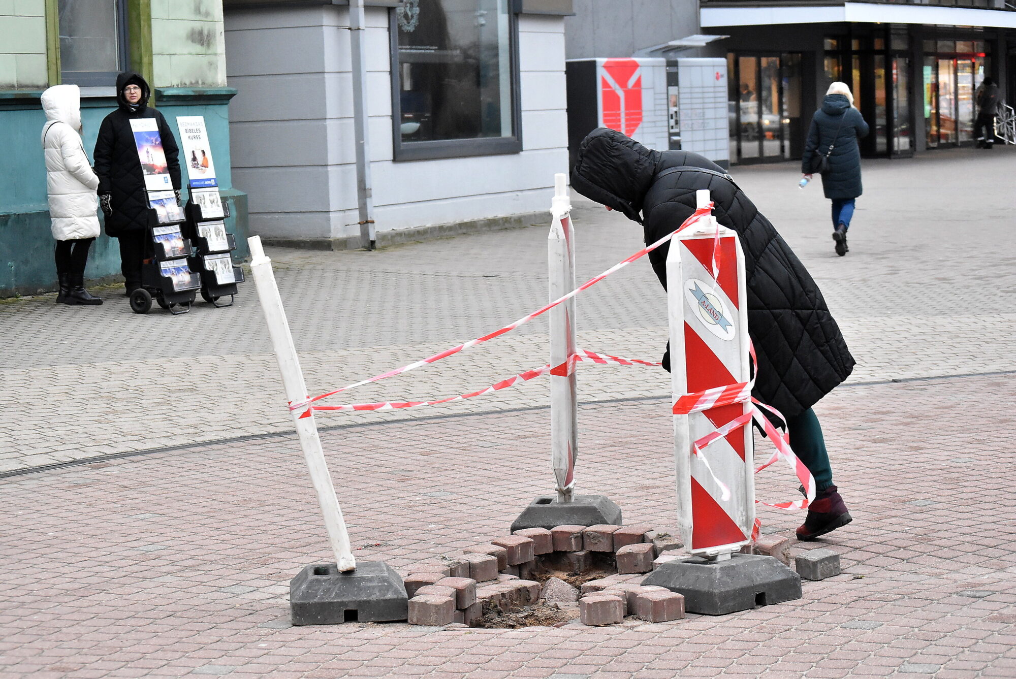 Rožu laukuma bedri aiztaisīs, kad atkāpsies sals