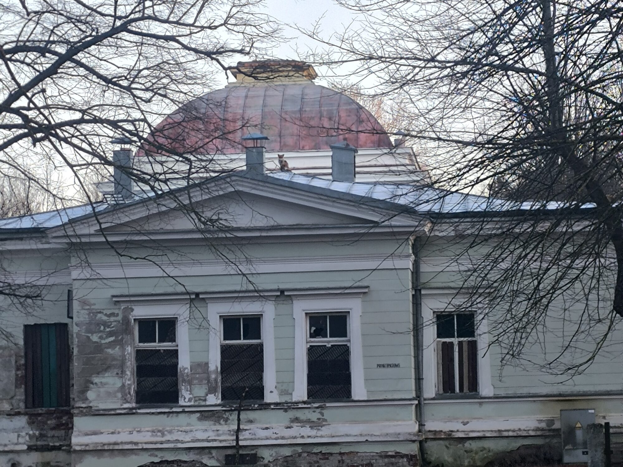 Aculiecinieka foto: Vai Liepājas vēsturiskās peldiestādes jaunais saimnieks? Lapsa “privatizē” seno Vannu māju