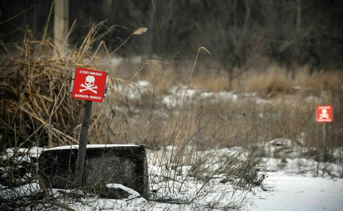 Latvijas, Igaunijas, Lietuvas un Polijas aizsardzības ministri rekomendē savu valstu izstāšanos no Otavas konvencijas