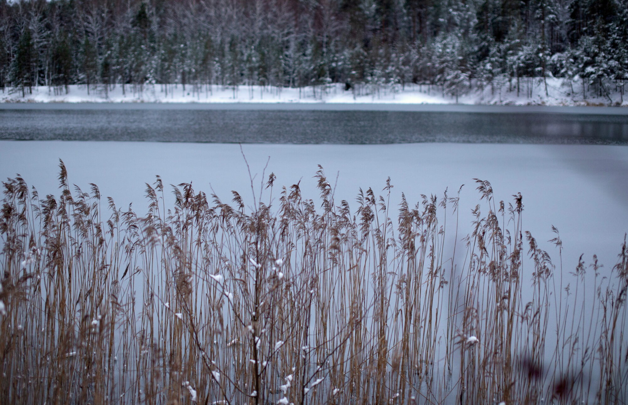 Naktī vietām Latvijas austrumos gaidāms sniegs un slapjš sniegs