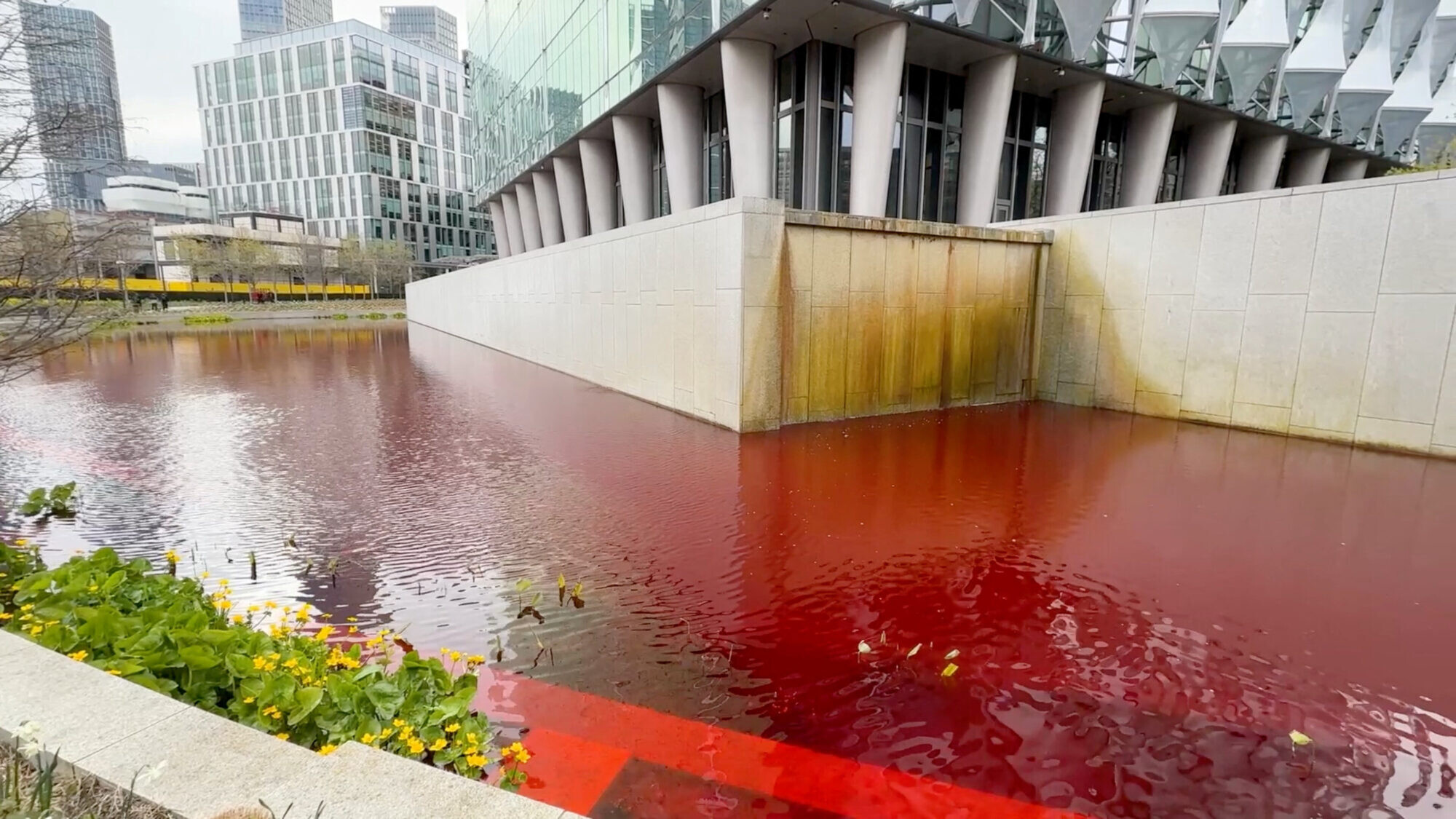 Aktīvisti Londonā ASV vēstniecības dīķī ielej sarkanu krāsu