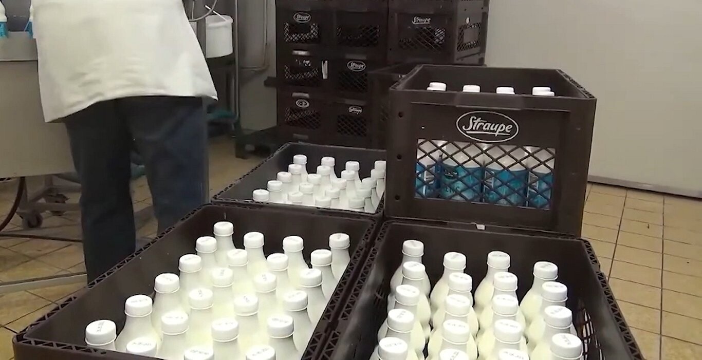 PVD atļāvis “Straupei” atsākt manuāli fasēto piena produktu ražošanu un tirdzniecību