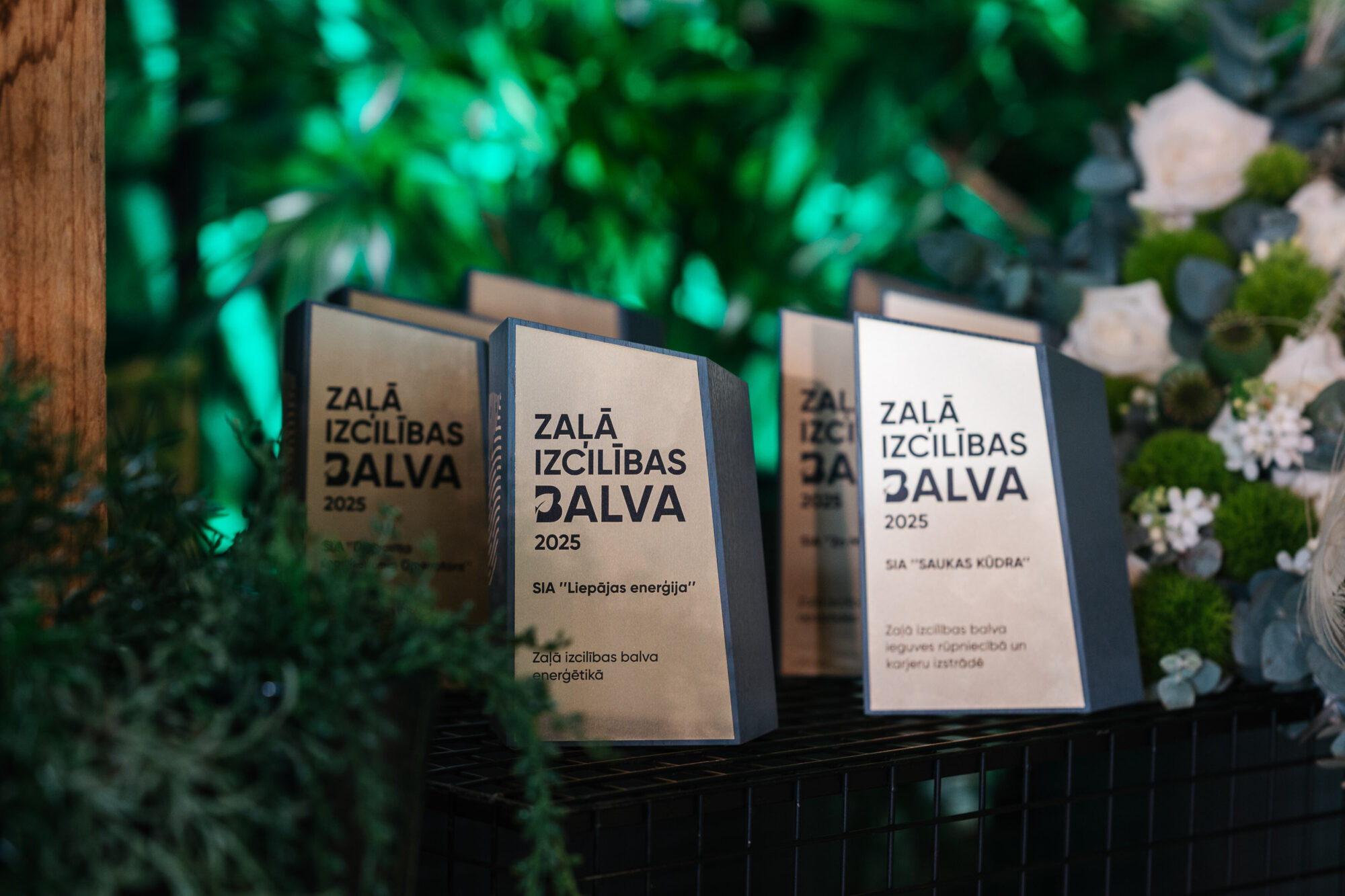 Valsts vides dienests pasniedzis gada balvu vides aizsardzībā. Laureātu vidū arī “Liepājas enerģija” un “DG termināls”