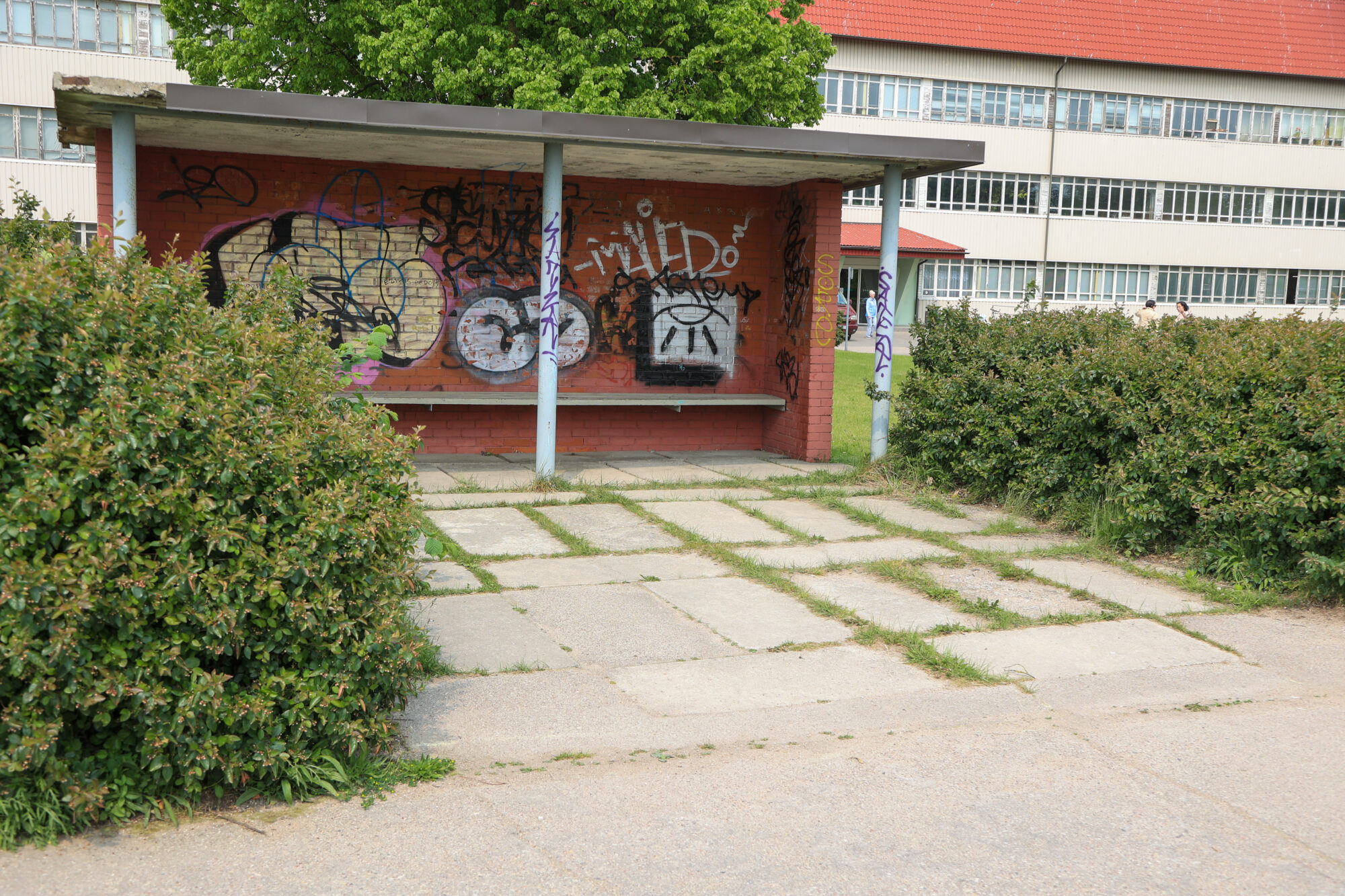 Foto: Ziemeļu ielas neglītā paskata pieturu sola sakopt