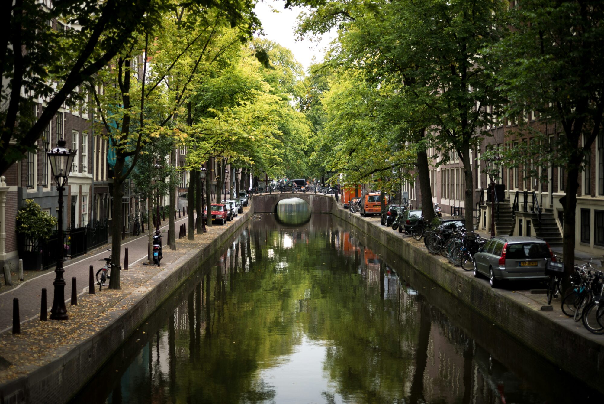 Amsterdamas kanālus aprīkos ar glābšanas kāpnēm kaķiem