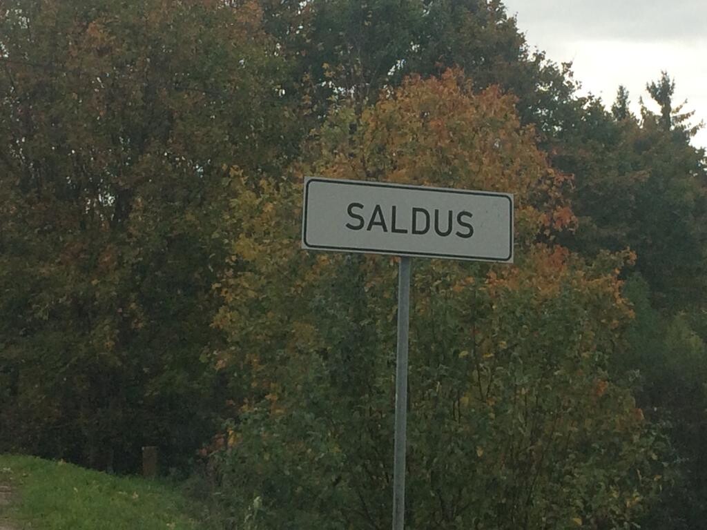 Saldus novada domes priekšsēdētājam ievēlēti trīs vietnieki