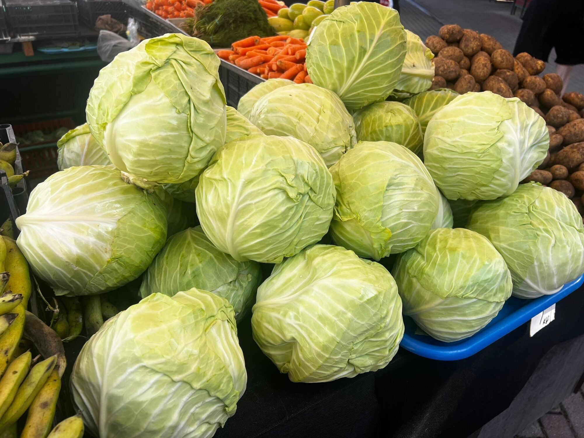Receptes: Kāposts – zaļš, skābs vai sautēts